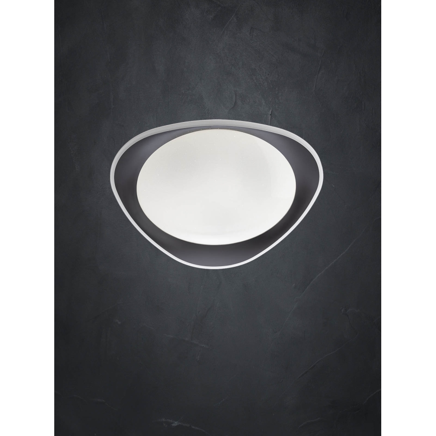 Redo 05-922 - LED Stropna svetilka VERENA LED/24W/230V antracit