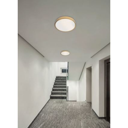 Redo 05-932 - LED Stropna svetilka KNOB LED/36W/230V 3000K-6500K 40 cm zlata