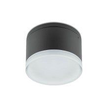 Redo 90107 - LED Zunanja stropna svetilka AKRON 1xLED/9W/230V IP54