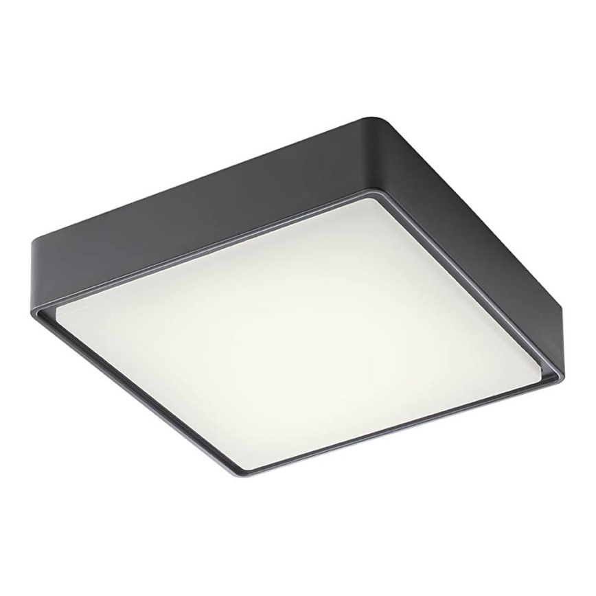 Redo 90157 - LED Zunanja stropna svetilka MARINA LED/12W/230V 22x22 cm IP65 antracit