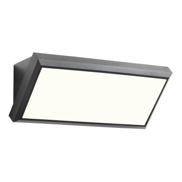 Redo 90159 - LED zunanja stenska svetilka MAKO LED/12W/230V IP65