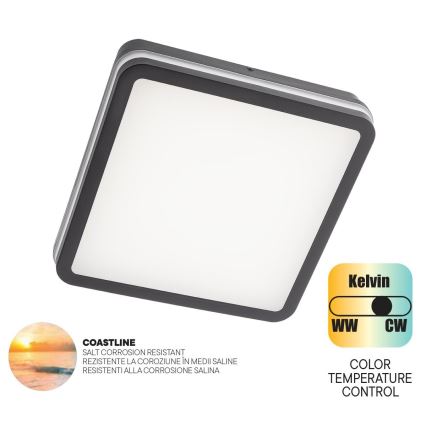Redo 90288 - LED Zunanja stropna svetilka ISOLA LED/24W/230V 26x26 cm 3000/4000/6500K IP54 antracit