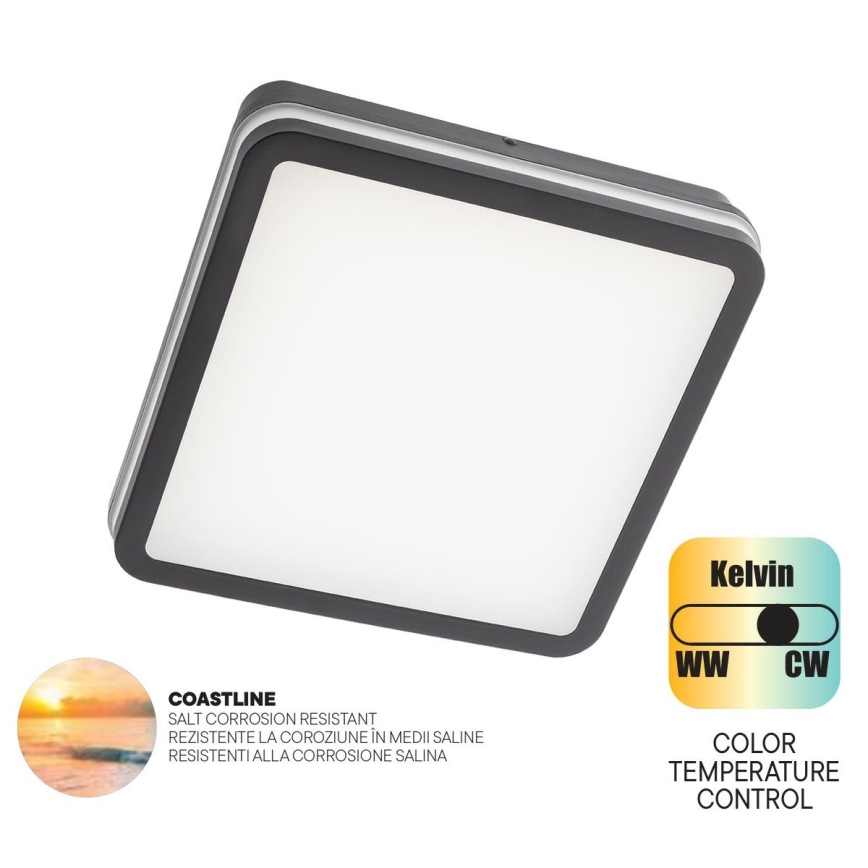 Redo 90288 - LED Zunanja stropna svetilka ISOLA LED/24W/230V 26x26 cm 3000/4000/6500K IP54 antracit