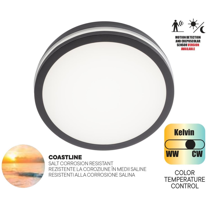 Redo 90290 - LED Zunanja stropna svetilka s senzorjem ISOLA LED/24W/230V pr. 26 cm 3000/4000/6500K IP54 antracit
