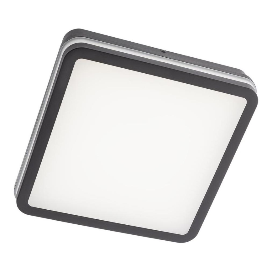 Redo 90292 - LED Zunanja stropna svetilka s senzorjem ISOLA LED/24W/230V 26x26 cm 3000/4000/6500K IP54 antracit