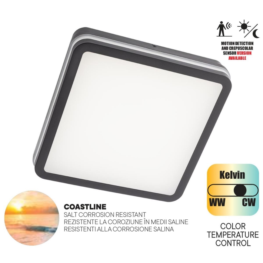 Redo 90292 - LED Zunanja stropna svetilka s senzorjem ISOLA LED/24W/230V 26x26 cm 3000/4000/6500K IP54 antracit