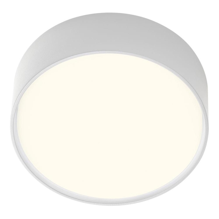 Redo 90494 - LED Zunanja stropna svetilka URANIA LED/10W/230V pr. 16 cm 3000K IP65 bela