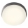Redo 90516 - LED Zunanja stropna svetilka URANIA LED/10W/230V pr. 16 cm IP65 antracit