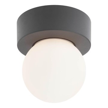 Redo 90641 - Zunanja stropna svetilka BULK 1xE27/28W/230V IP44 antracit