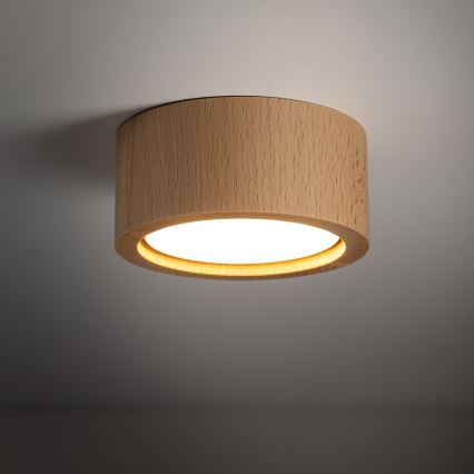 Reflektor EVE 1xGX53/11W/230V bukev