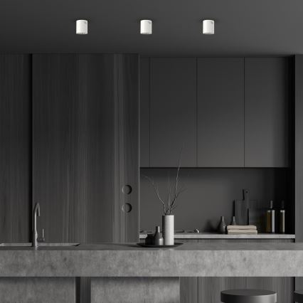 Reflektor GEORGE 1xE27/60W/230V pr. 11 cm bela