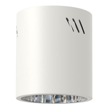 Reflektor GEORGE 1xE27/60W/230V pr. 13,7 cm bela