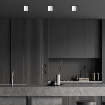 Reflektor GEORGE 1xE27/60W/230V pr. 13,7 cm bela