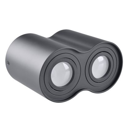 Reflektor HADAR 2xGU10/10W/230V črna