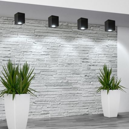 Reflektor HADAR Q1 1xGU10/10W/230V črna