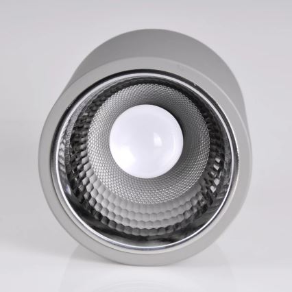 Reflektor JUPITER 1xE27/20W/230V pr. 16,5 cm siva