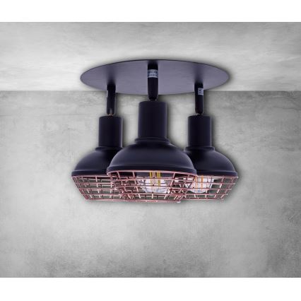 Reflektor LOGAN 3xE14/40W/230V