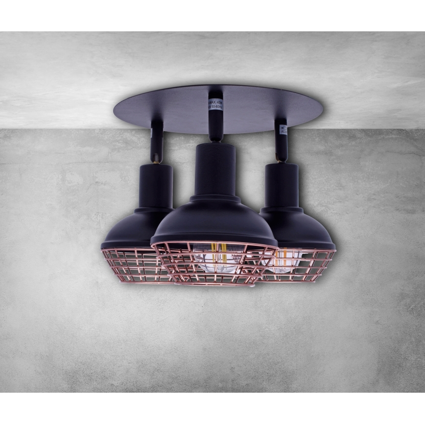 Reflektor LOGAN 3xE14/40W/230V