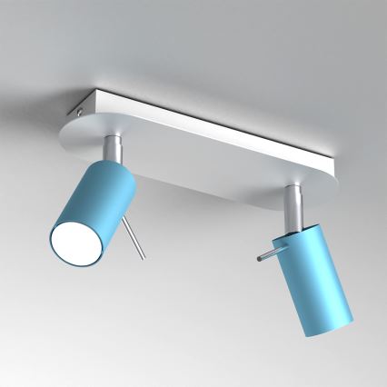 Reflektor PRESTON 2xGU10/MR11/40W/230V moder