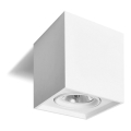 Reflektor QUANDO G53/50W/230V