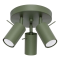 Reflektor RING 3xGU10/10W/230V zelena