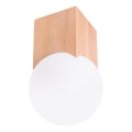 Reflektor SOLIS 1xG9/8W/230V bukev