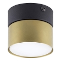 Reflektor SPACE GOLD 1xGX53/15W/230V