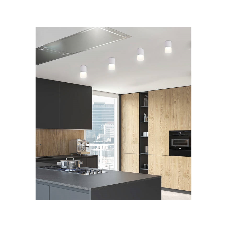 Reflektor TUBA 1xGU10/15W/230V siv/bel