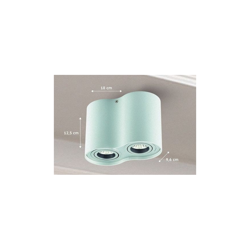 Reflektor TUBA 1xGU10/50W/230V bela