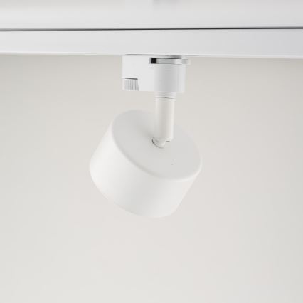 Reflektor za 1-fazni tračni sistem AVIA 1xGX53/15W/230V bela