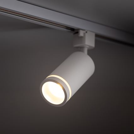 Reflektor za 1-fazni tračni sistem JET RING 1xGU10/10W/230V bela