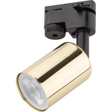 Reflektor za tračni sistem TOP 1xGU10/10W/230V zlata/črna
