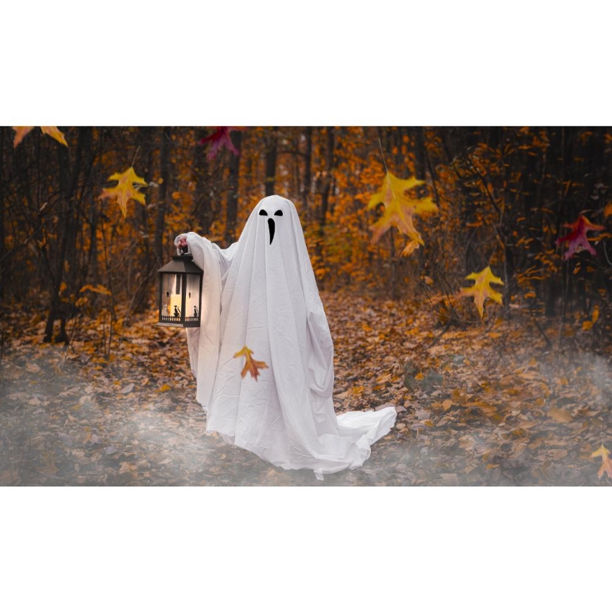 LED Dekoracija HALLOWEEN LED/3xAAA/topla bela laterna