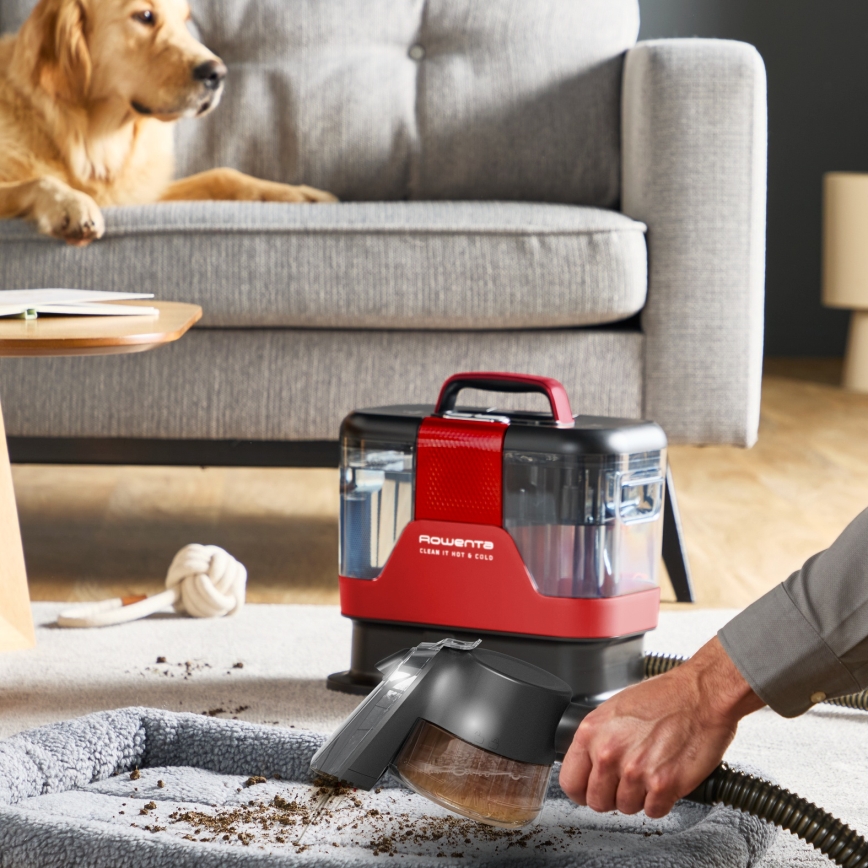 Rowenta - Čistilec preprog CLEAN IT HOT & COLD ANIMAL 1150W/230V