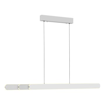 Schöner Wohnen 12577-16 - LED lestenec z možnostjo zatemnitve na kablu ADRIANA ROUND 2xLED/24W/230V 2700/3000/3500/4000/5000K 160 cm bela