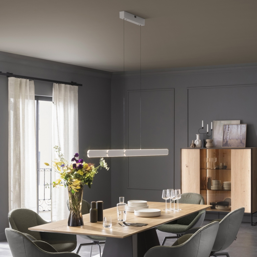 Schöner Wohnen 12577-16 - LED lestenec z možnostjo zatemnitve na kablu ADRIANA ROUND 2xLED/24W/230V 2700/3000/3500/4000/5000K 160 cm bela