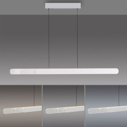 Schöner Wohnen 12577-16 - LED lestenec z možnostjo zatemnitve na kablu ADRIANA ROUND 2xLED/24W/230V 2700/3000/3500/4000/5000K 160 cm bela