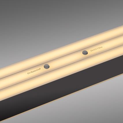 Schöner Wohnen 12577-18 - LED zatemljiv viseči lestenec na kablu ADRIANA ROUND 2xLED/24W/230V 2700/3000/3500/4000/5000K črna