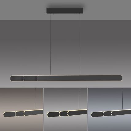 Schöner Wohnen 12577-18 - LED zatemnjiva viseča svetilka na kablu ADRIANA ROUND 2xLED/24W/230V 2700/3000/3500/4000/5000K 160 cm črna