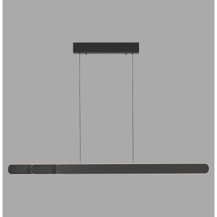 Schöner Wohnen 12577-18 - LED zatemnjiva viseča svetilka na kablu ADRIANA ROUND 2xLED/24W/230V 2700/3000/3500/4000/5000K 160 cm črna