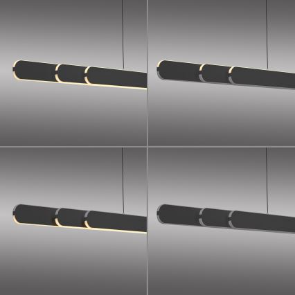 Schöner Wohnen 12577-18 - LED zatemnjiva viseča svetilka na kablu ADRIANA ROUND 2xLED/24W/230V 2700/3000/3500/4000/5000K 160 cm črna