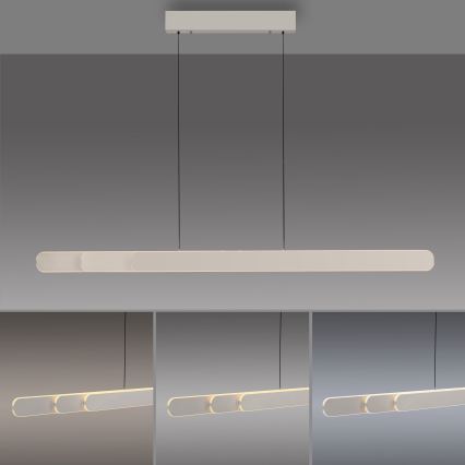 Schöner Wohnen 12577-39 - Zatemnljiv LED lestenec na kablu ADRIANA ROUND 2xLED/24W/230V 2700/3000/3500/4000/5000K siva