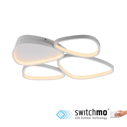 Schöner Wohnen 14038-16 - LED Zatemnljivo stropno svetilo PEBBLES LED/35,5W/230V belo