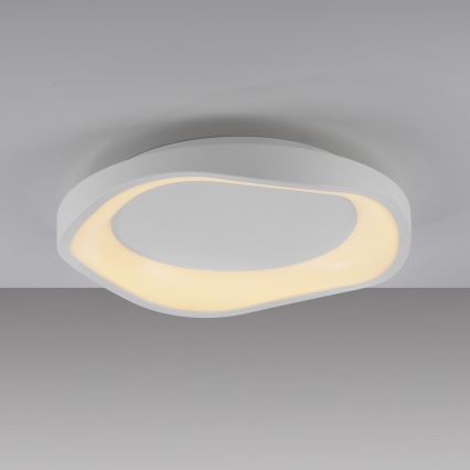 Schöner Wohnen 14233-16 - LED stropna svetilka MONTA, z možnostjo zatemnitve, 21 W, 230 V, premer 40 cm, bela