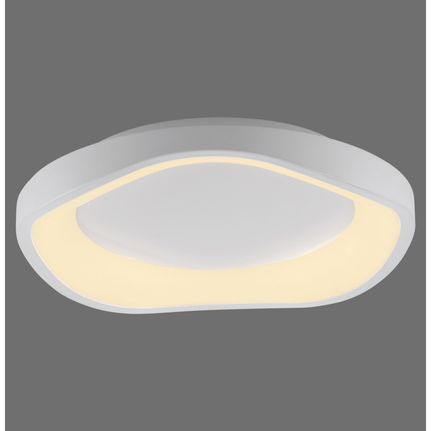 Schöner Wohnen 14233-16 - LED stropna svetilka MONTA, z možnostjo zatemnitve, 21 W, 230 V, premer 40 cm, bela