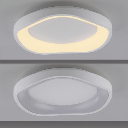 Schöner Wohnen 14233-16 - LED stropna svetilka MONTA, z možnostjo zatemnitve, 21 W, 230 V, premer 40 cm, bela
