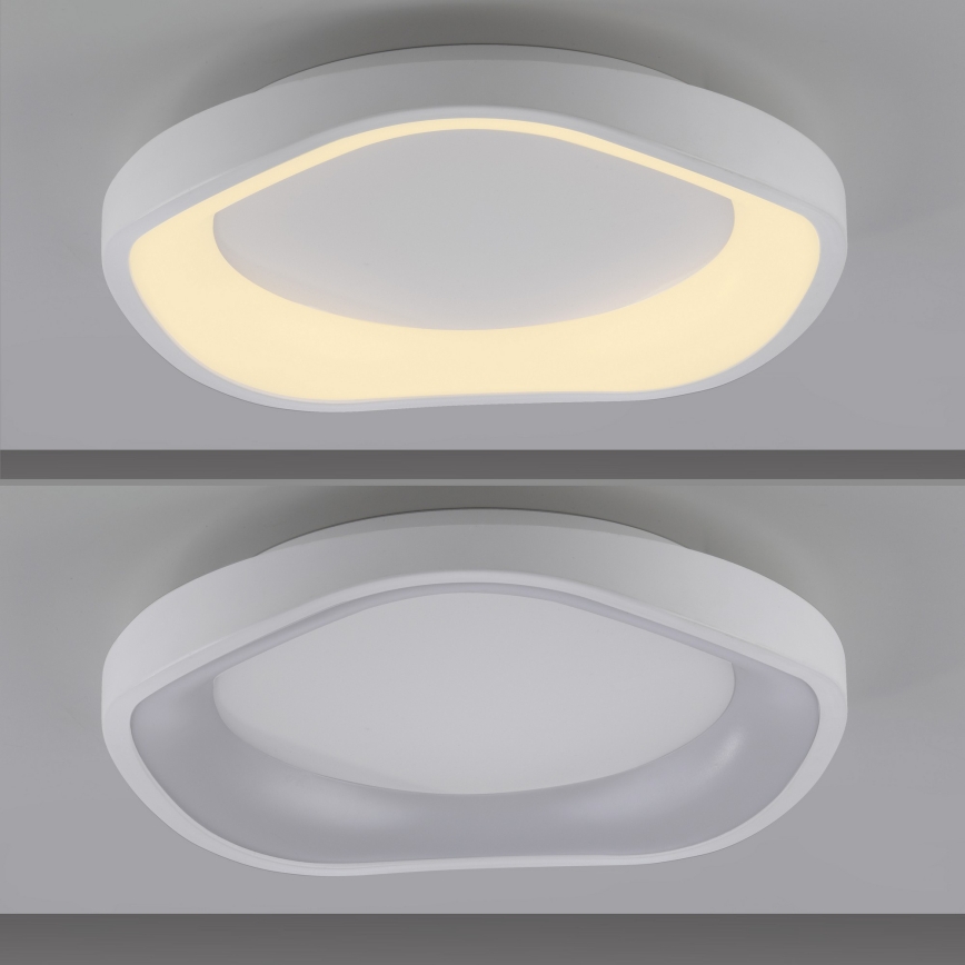 Schöner Wohnen 14233-16 - LED stropna svetilka MONTA, z možnostjo zatemnitve, 21 W, 230 V, premer 40 cm, bela