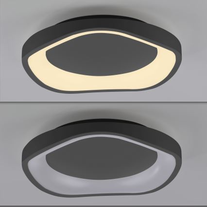 Schöner Wohnen 14233-18 - zatemnljivo LED stropno svetilo MONTA LED/21W/230V premer 40 cm črna