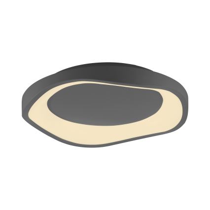 Schöner Wohnen 14233-18 - zatemnljivo LED stropno svetilo MONTA LED/21W/230V premer 40 cm črna