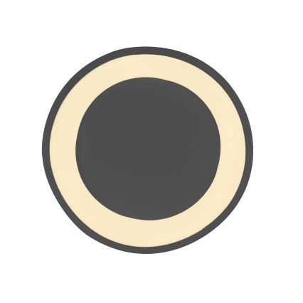 Schöner Wohnen 14233-18 - zatemnljivo LED stropno svetilo MONTA LED/21W/230V premer 40 cm črna